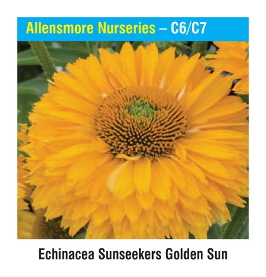 Allensmore Nurseries